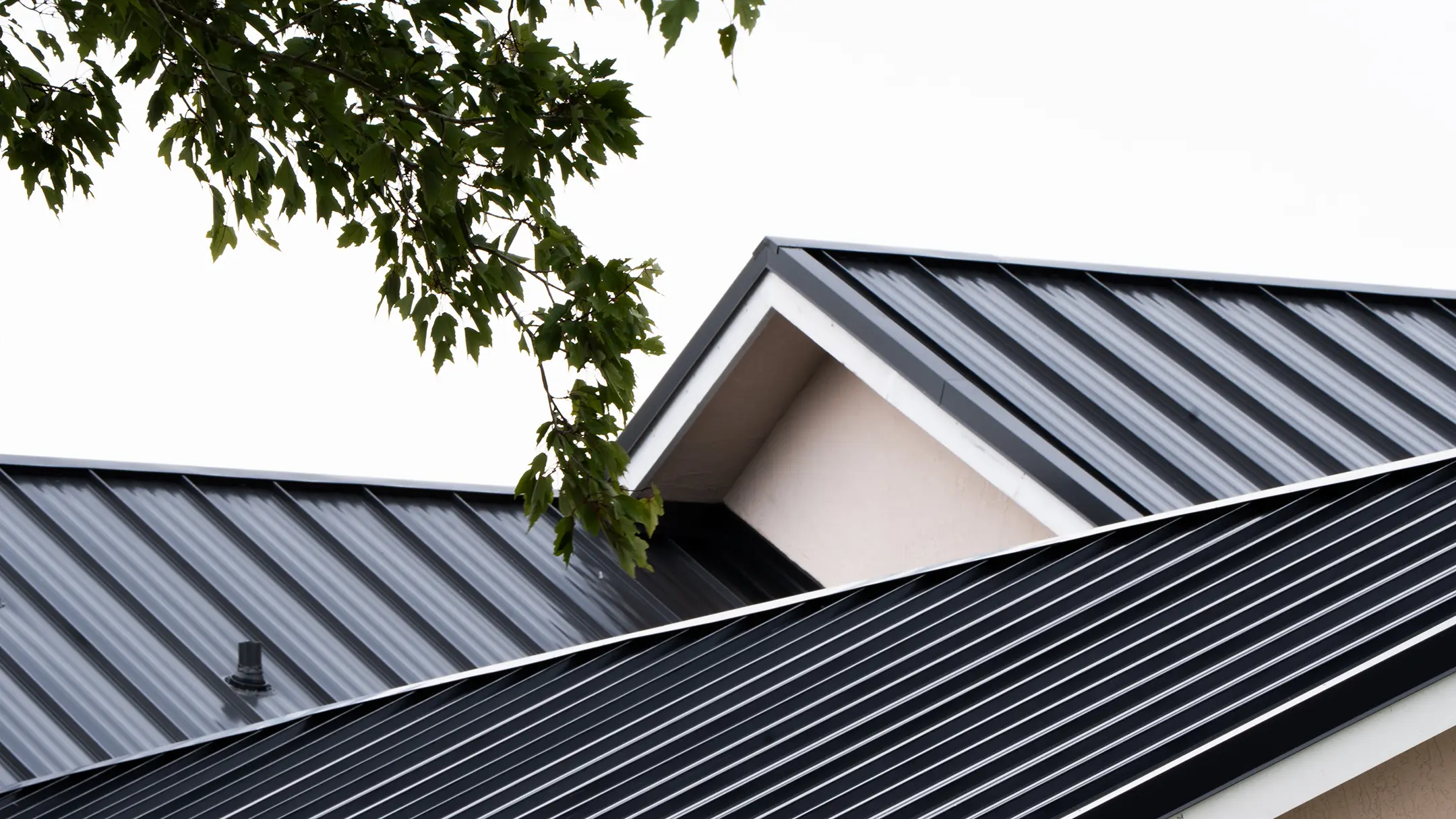 Close-up view of a modern house roof with black metal panels, featuring sharp angles and a small section of leafy tree branches in the top left corner against a white sky.