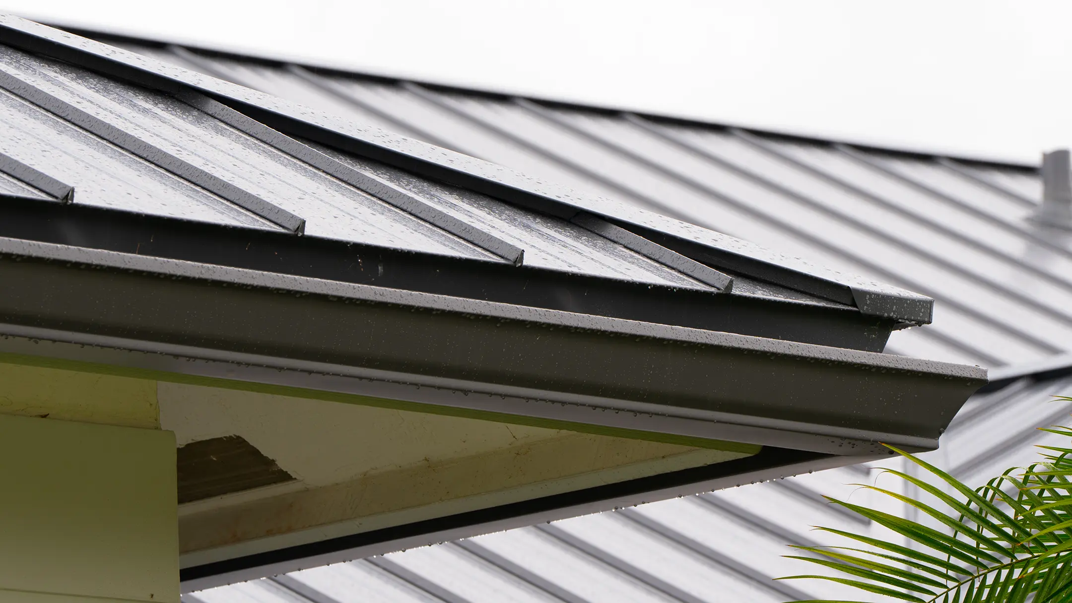 Close-up view of a metal roof and gutter on a building, with raindrops visible on the surface. A green plant is partially visible in the lower right corner against a cloudy sky.